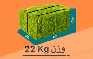 تسويق الأعلاف في اسبانيا